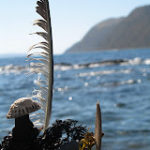 Makara Beach one Heavenely Easter Monday