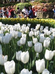 Perfection in Spring