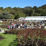 Rose gardens