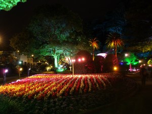dscf1619