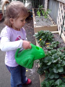 Grow strawberries, Grow!