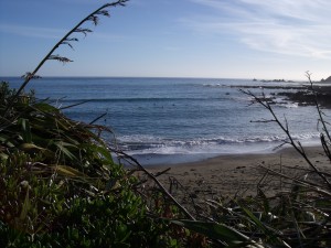 Houghton Bay longest day 2009