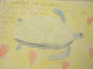 Charli's turtle