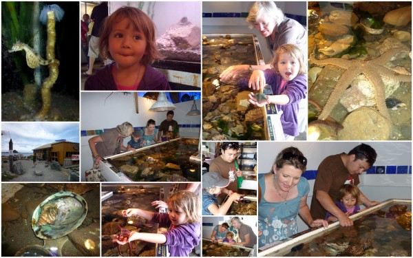 Island Bay Marine Education Centre