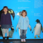 Penguins, Sting Ray and Sharks! [Day 2]