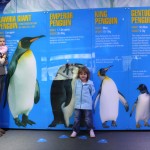 IMG_0477 IMG_0477