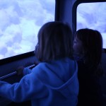 IMG_0491 IMG_0491