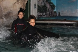 IMG_0498 IMG_0498