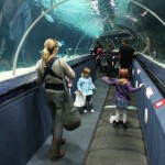 IMG_0501 IMG_0501