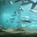 IMG_0503 IMG_0503