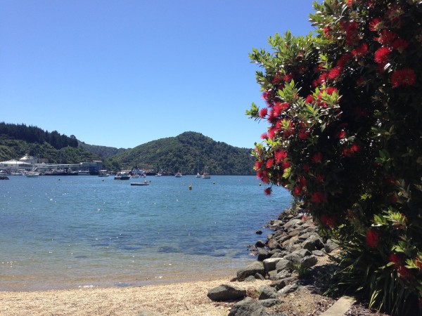 Picton