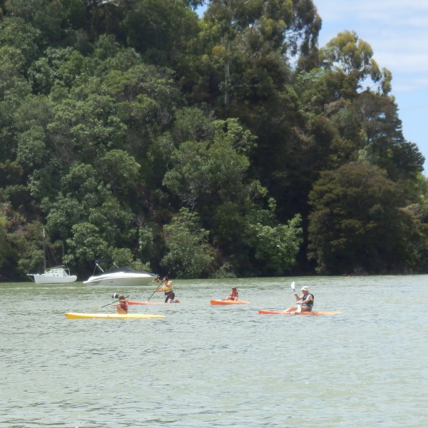 Kayaking in Kaiteriteri