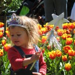 Sophie & the tulips