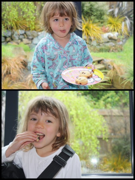Eating choc chip cookies Eating choc chip cookies
