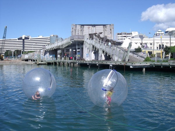 Zorbing at the Lagoon, Wellington