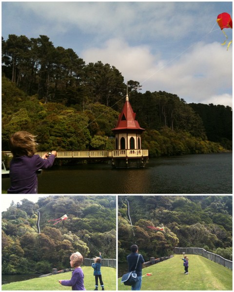 Kite flying at Zealandia