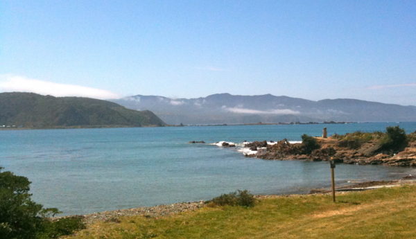 Lyall Bay and harbour entrance, Wellington