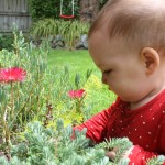 Alice 8 months in the garden