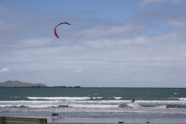 Kite surfer Lyall Bay