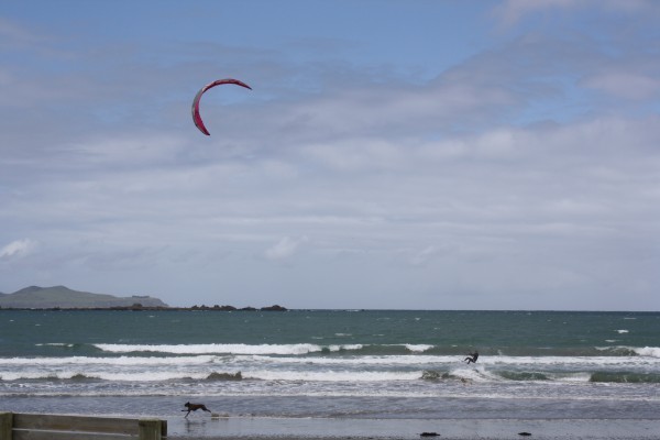 Kite surfer Lyall Bay Kite surfer Lyall Bay