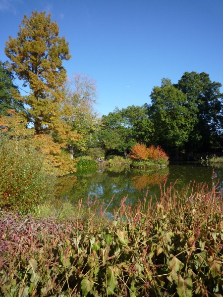 Wisley Gardens