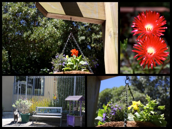 Little places to sit, bright colours and new smells