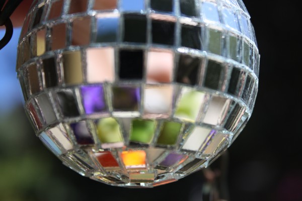 Reflections of flowers from a hanging basket