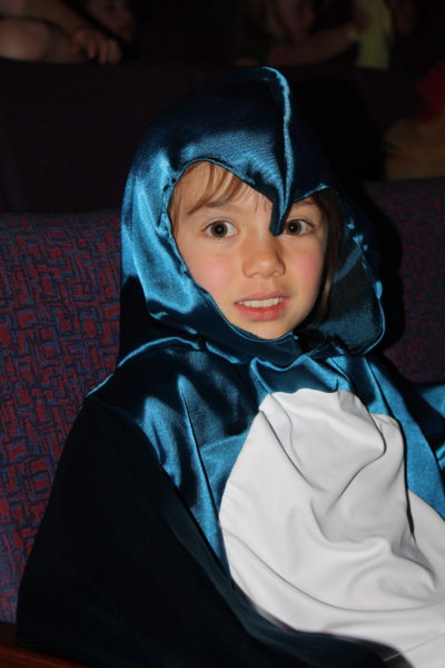 Charlotte - the Little Blue Penguin
