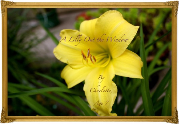 Charlotte's Lilly Photograph