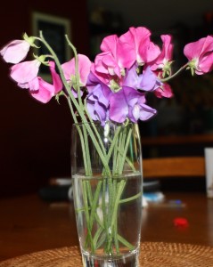 Sweet peas fresh from the garden