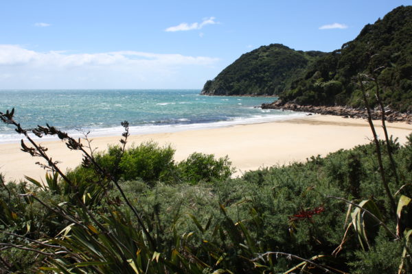 Abel Tasman