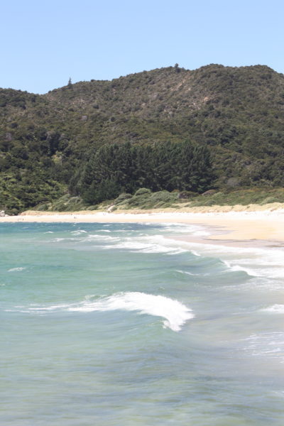 Wild winds change paradise beach to sand-whipped hell!