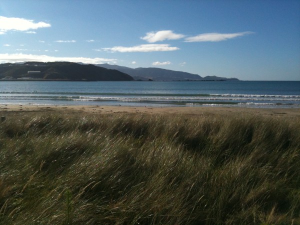 Lyall Bay