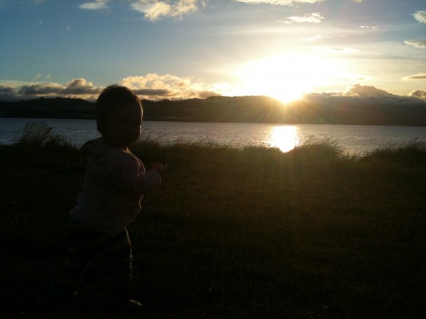 Alice my early bird, nearly 1 years old watching the sunrise