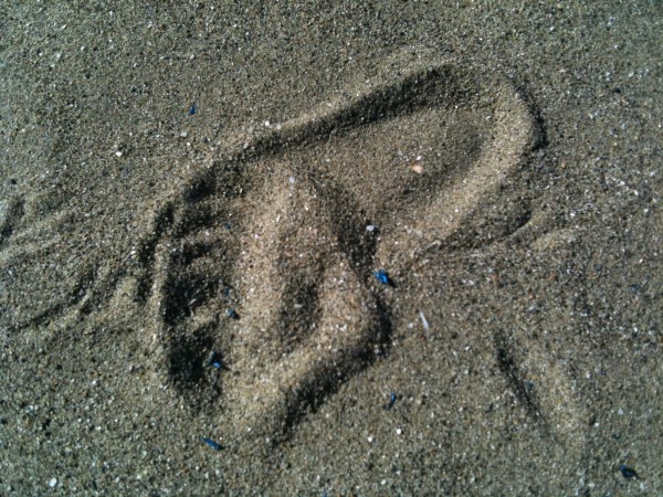 Alice's footprint in the sand on her first Birthday