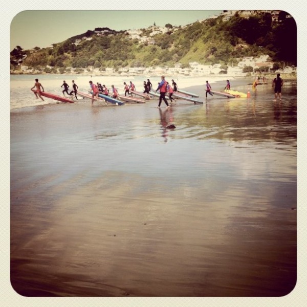 Lyall Bay