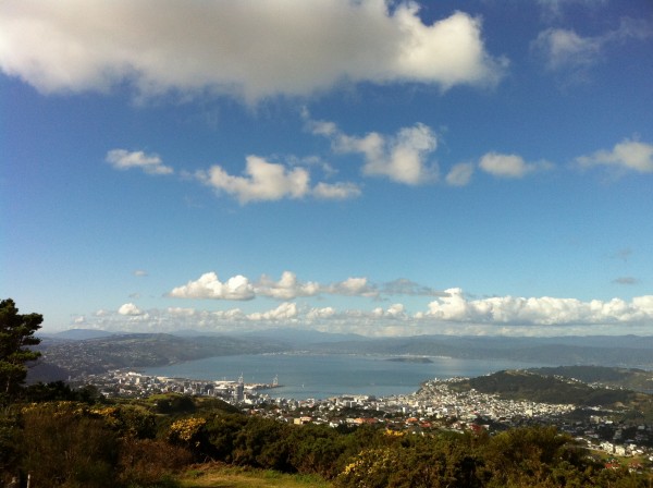 Wellington from the wind turbine, Brooklyn, Wellington