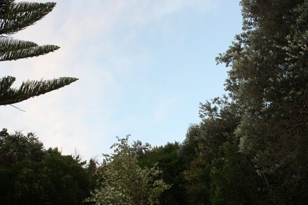 Charlotte's Earth photograph 