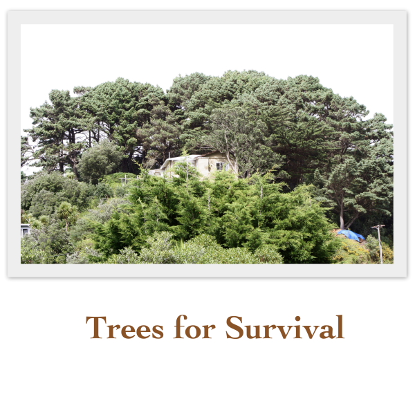 Trees for Survival