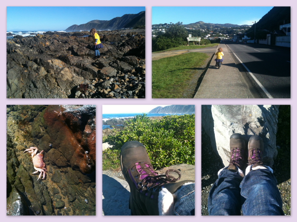 Walk on Wellington's South Coast