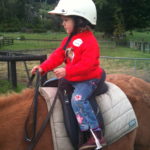 First lessons in horse riding & confidence building