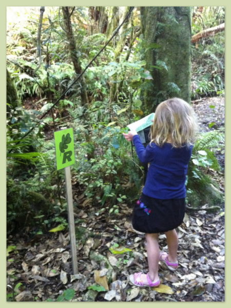 Sophie on the World Environment Day trail at Zealandia