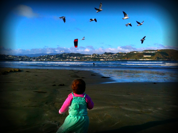 Alice, 17 months, Lyall Bay beach watching the kite-surfers, sea-gulls & planes