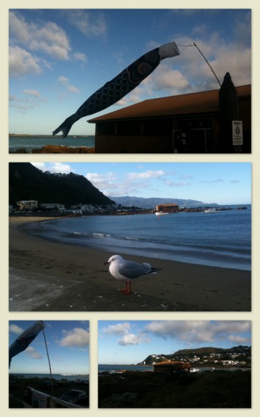 Island Bay and the Marine Education Centre