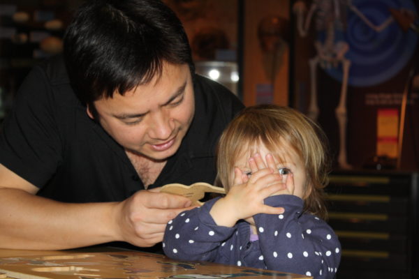 Alice doing a bird puzzle with Daddy in Te Papa - Peek a boo Kiwi!