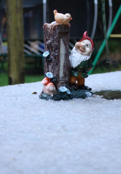 Happy gnome in the snow at sea-level in Wellington