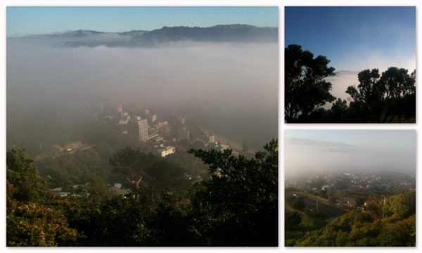 Wellington shrouded in cloud on a sunny winters day