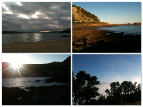 Beautiful bays of Wellington & ever changing skies