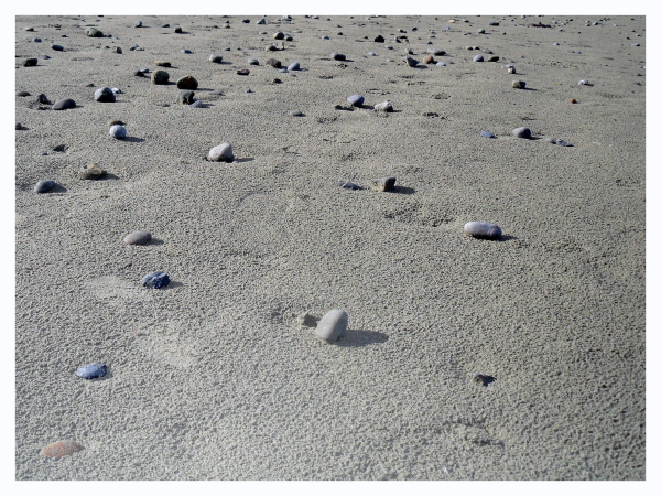 Charlotte's photo of pebble strewn Lyall Bay one day after school