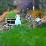 There was a little green fairy in the garden today